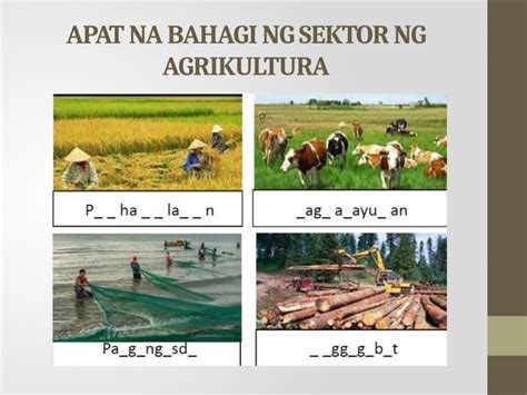 Sektor ng Agrikultura: Buhay ng Pangingisda .